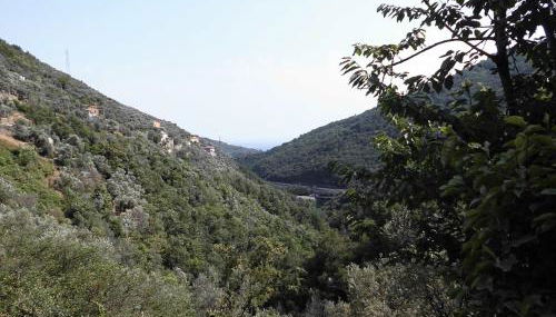 La Margherita di Teriasca - Foto 5, Garden