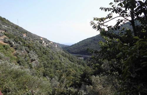 La Margherita di Teriasca - Foto 5