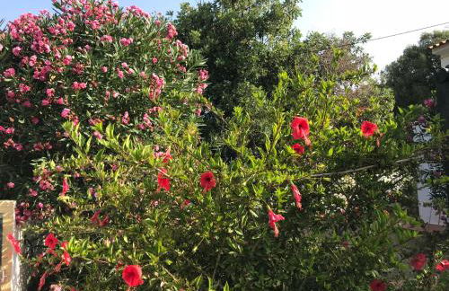 Villa Riva - Foto 11