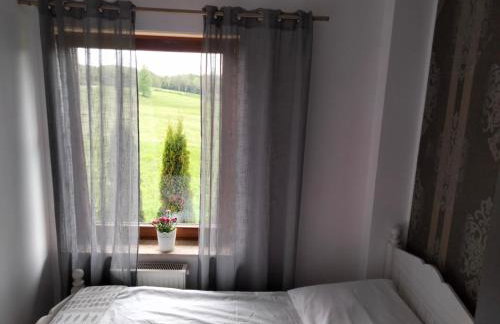 Przy Trójstyku - Foto 47