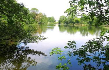 Ferienhaus Anno1875 - Photo 30
