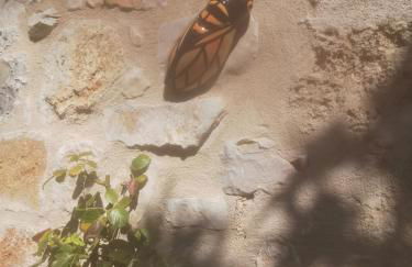 Jas de Marripey - Foto 18