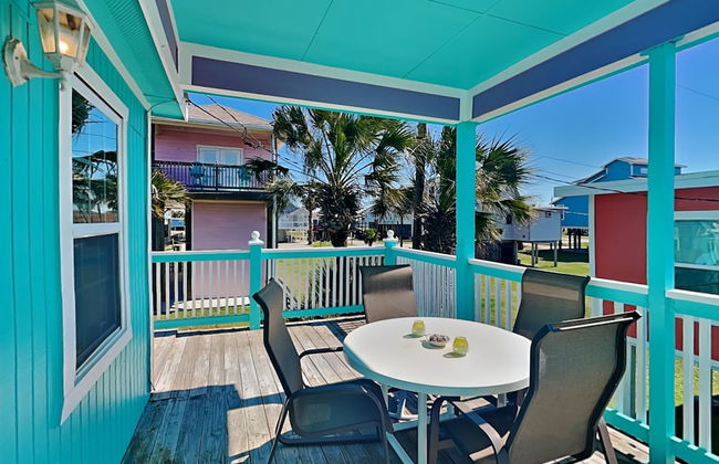 Blue Curlew - Photo 26