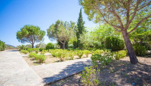 Agroturismo Son Not - Foto 4, Garden view