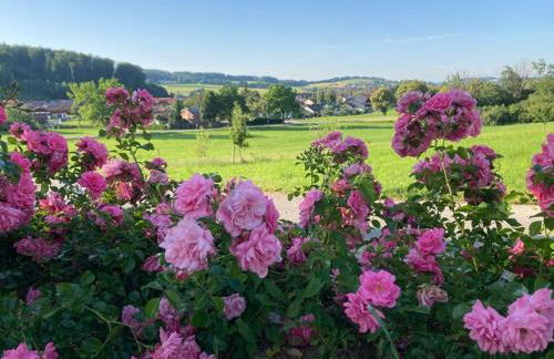 Ferienwohnung Goas-Alm - Photo 6