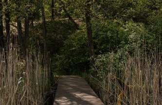 Charszówka - Foto 29