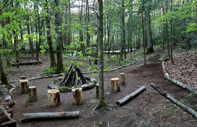 Elk Run On Cosby Creek - 2 Bedrooms, 2 Baths, Sleeps 7 Cabin by RedAwning - Foto 43