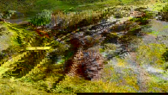 Valley of the Flowers Tour - Foto 2