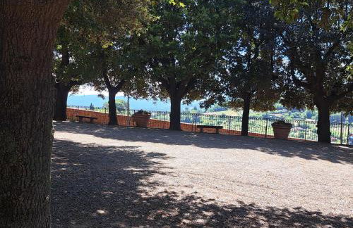 AUTUNNO IN TOSCANA MARE degustazioni sagre e vino aperto tutto l'anno parcheggio riservato davanti a casa - Foto 70