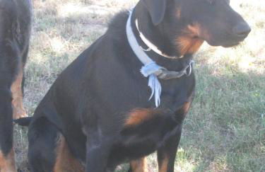 Le Pas des Lanciers - Foto 13