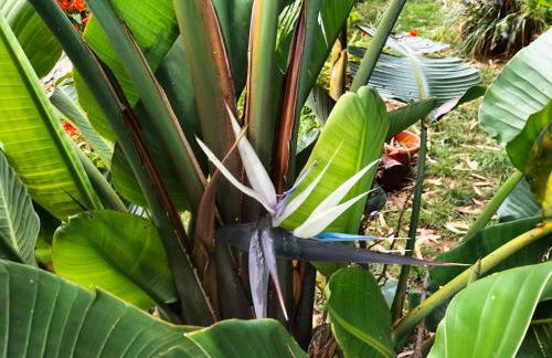 casa do campo - Foto 17