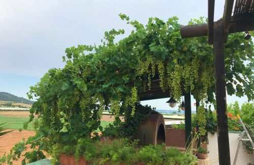 Villa Sara di Puglia - Foto 65