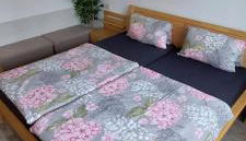 Dresden Großer Garten - Foto 5