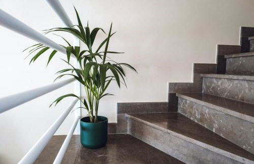 CASA AMOR JACARANDA - Ocean View Modern Vila - Foto 15