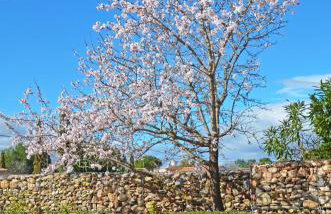 Le Jardin des Copains - Photo 26