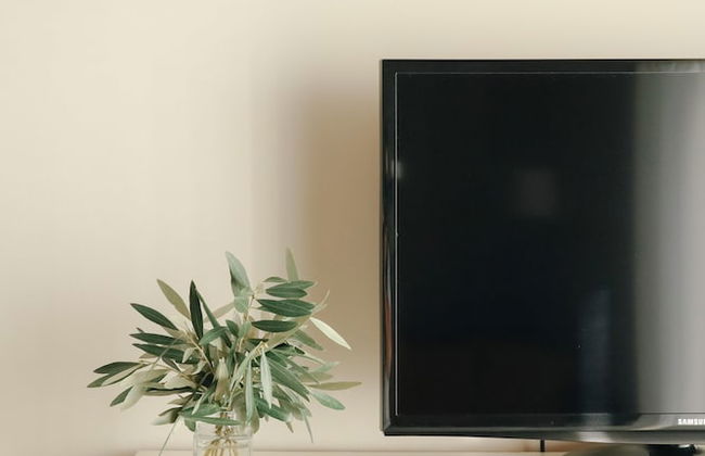 I Love Dão - Casas Da Fraga - Foto 17