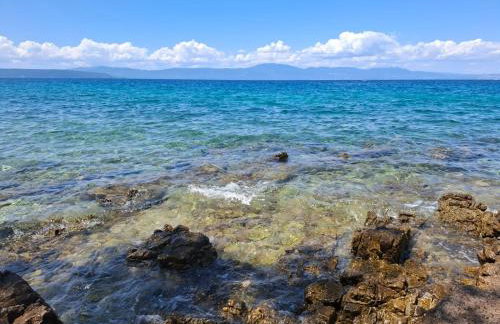 FoREST Heritage Apartment - Foto 67