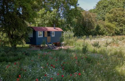 Wellbeing Orchard - Foto 22