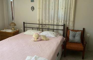 Real Holidays Antoniadou - Rustic House - Foto 24