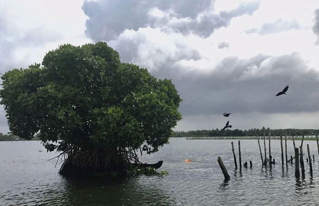 Baymaas Lake house - Foto 21