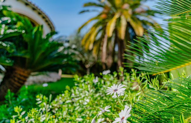 Villa Fili - Foto 21