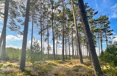 Ostoja Bukowo 12,2 chata u szôłtësa - Foto 26