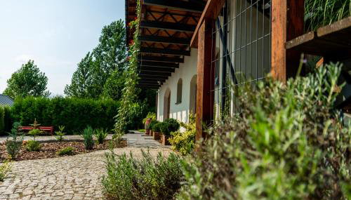 Winnica Płochockich Country House - Foto 4