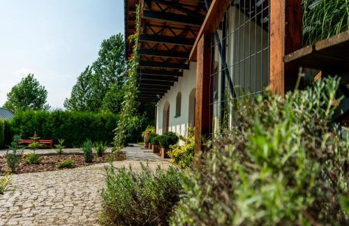 Winnica Płochockich Country House - Foto 4