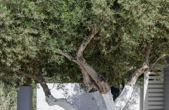 Gramvella Resort - Photo 25