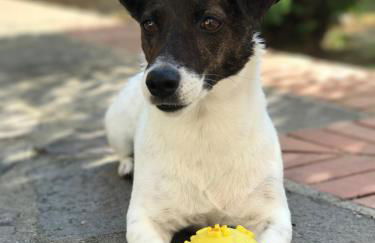 La Residenza dei Piaceri Perduti- Le Volte - Foto 48