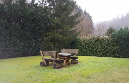 Kleine Oase bei Nina - Foto 14