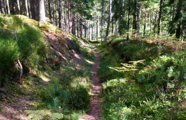 Blackforest Apartment - Foto 25