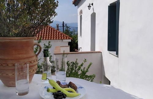 Anemone Residence - Photo 19