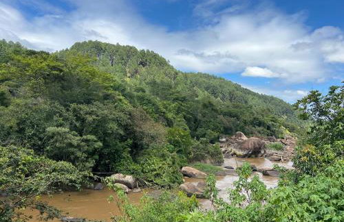 Mansão Terra Alta - Foto 5