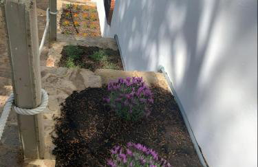 ApartmentsTamariu5 Cozy Retreat with Terrace - Foto 21