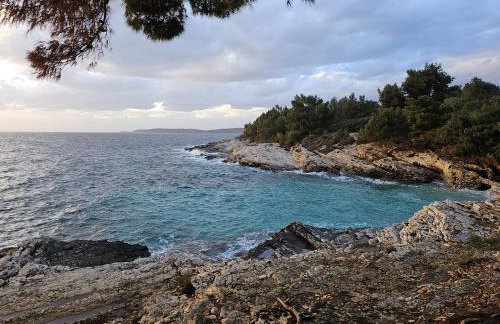 NewHome Nicole Premantura - Foto 31