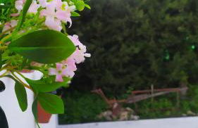 Los Cabales - Foto 16