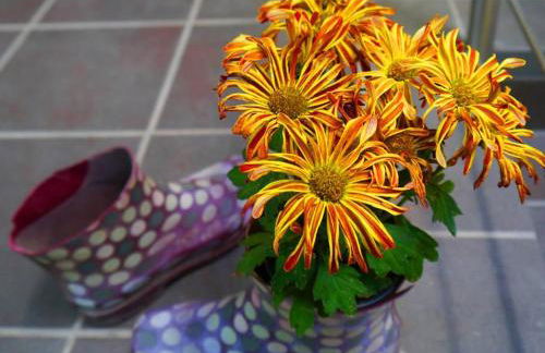 Fewo-Barbara, ruhige Lage, 15 min. zum Europapark - Foto 35