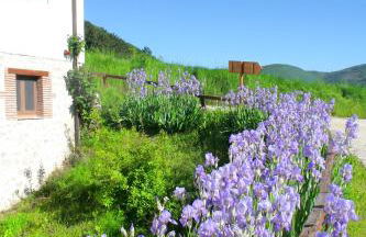 Agriturismo La Cascina di Opaco - Foto 24