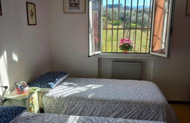 Poggio agli Ulivi vicolo di Colle Reti 22 Frascati - Foto 27