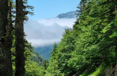 Appartement César de standing plein centre - Foto 12