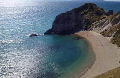 Little Ivy - Foto 17