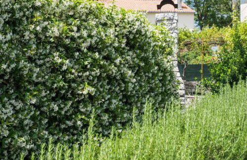 Unique Antistress Oasis Villa Antiqua - Foto 49