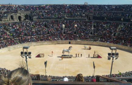 Gîte de vacances en Camargue ☆☆NN - Photo 24