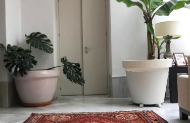 CASA PALACIO en Jerez de la Frontera con piscina privada - Foto 16