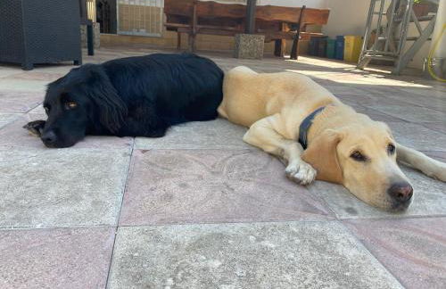 Villino Il melograno - Foto 37