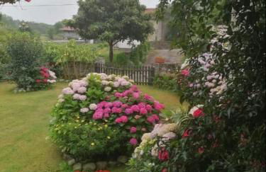 Casa Anita - Foto 11