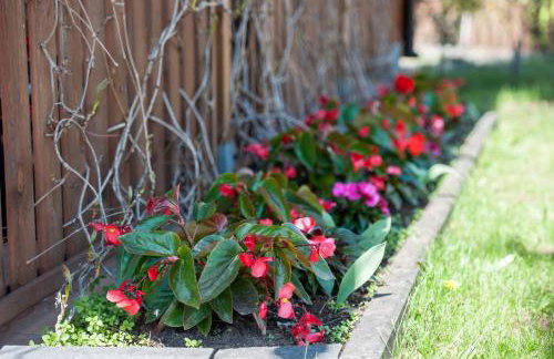 Agroturystyka na Jurze Apartamenty z widokiem na Zamek Jacuzzi Sauna Beczka - Foto 59