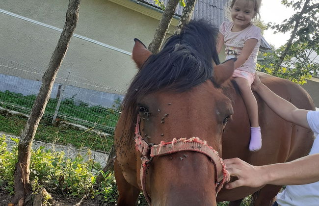 Room in Guest Room - Healthy Retreat Holiday in Mountain - Foto 28