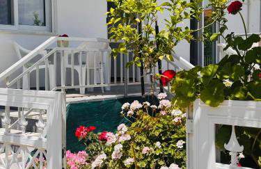 Lemon tree's house - Foto 26